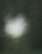 Neurnersun
